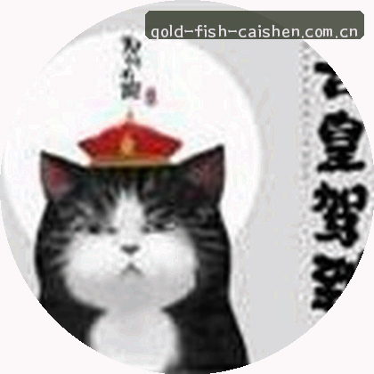 小美